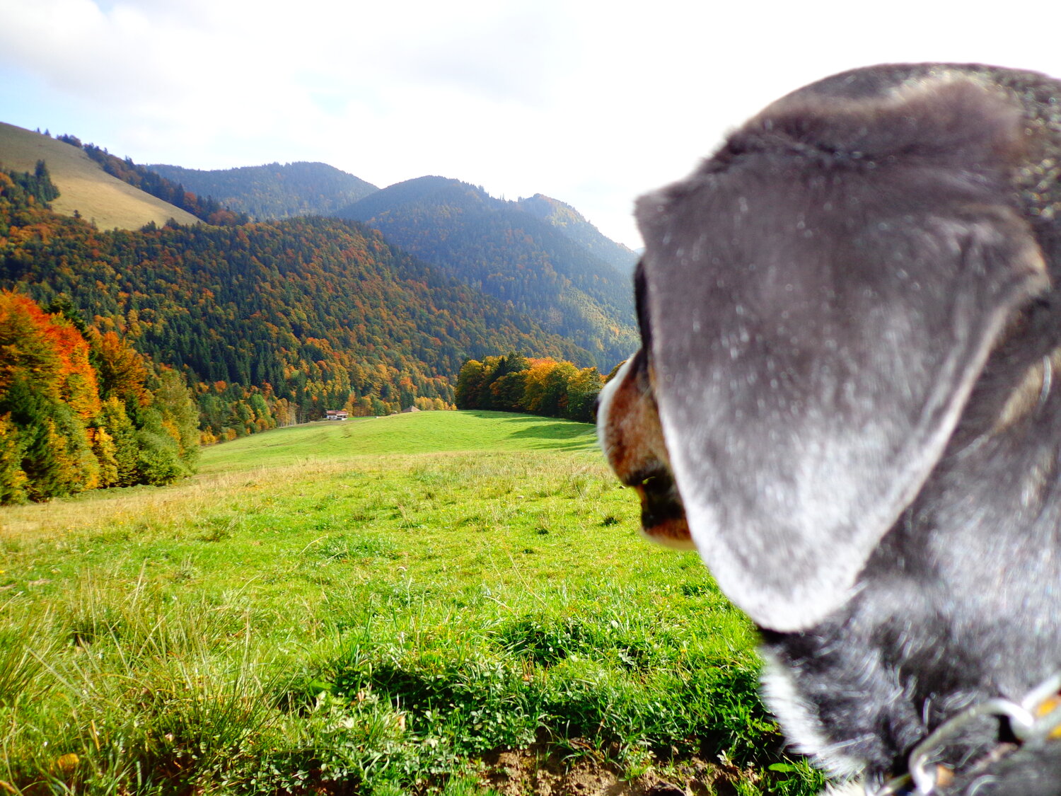 umgebung-gallerie-blickner-alm-026